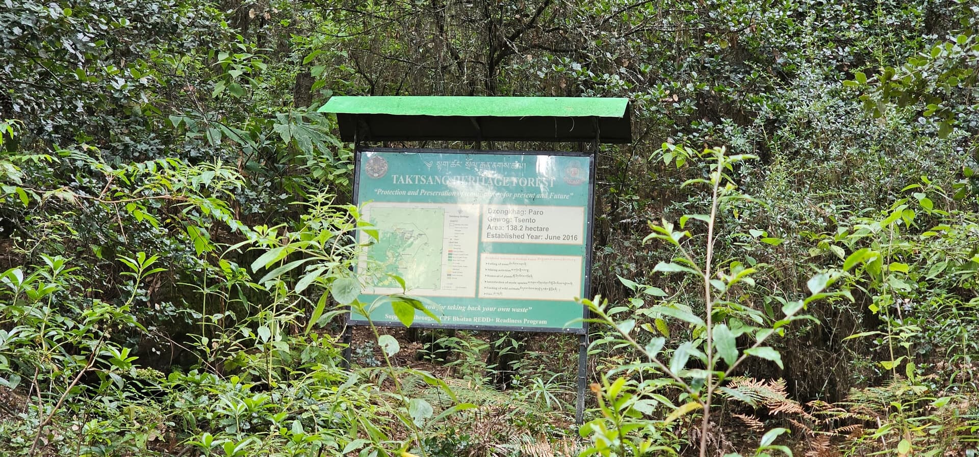 Forested Himalayan highlands and prayer-flag ridges in central Bhutan
