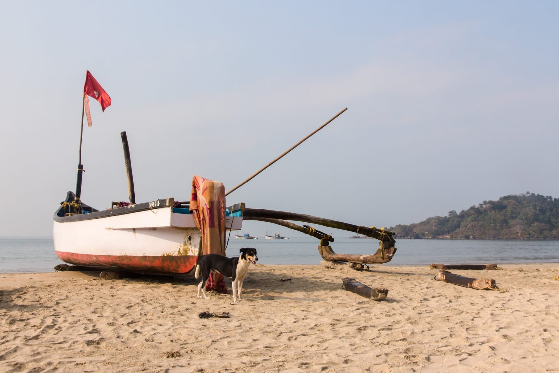 A palm-lined beach on the Goa coastline