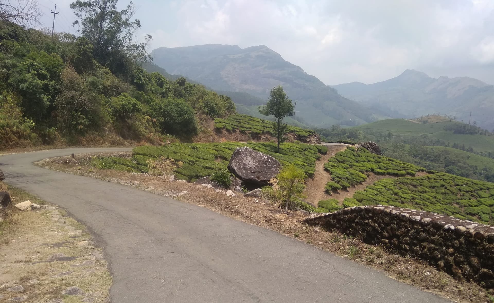 Tea plantations at Munnar, Kerala