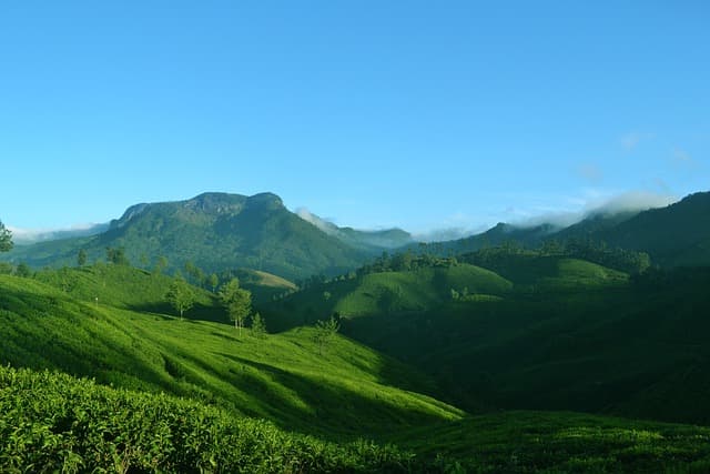 Rolling emerald tea gardens carpeting the hills of Munnar in the Western Ghats