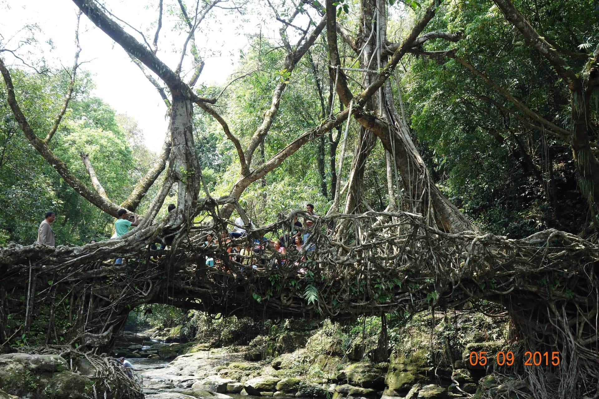 Mountain landscape of North East India, gateway to a Sikkim itinerary