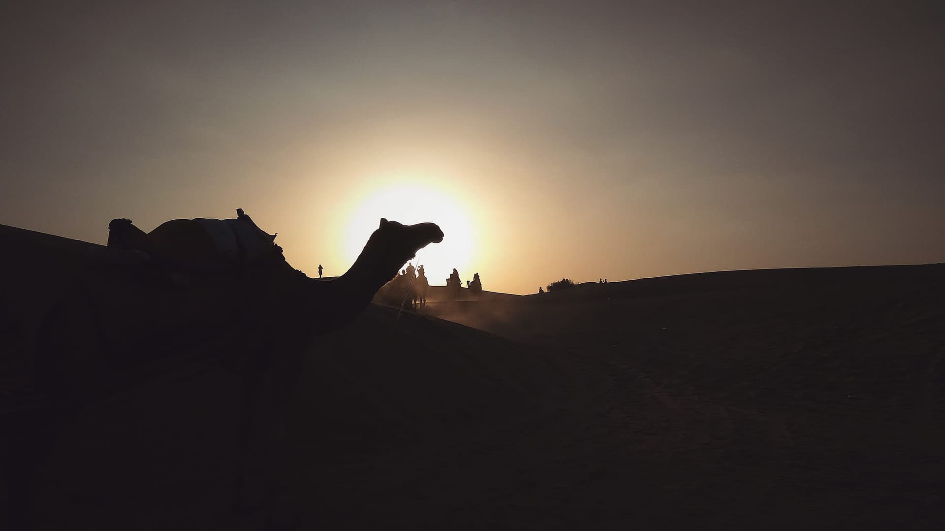 A camel caravan in the Rajasthan desert — the stage for incentive gala evenings